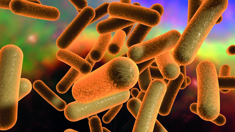 Illustration von Bakterien in vergrößerter Darstellung